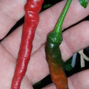 Long Thin Cayenne Pepper